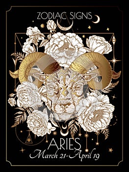 Vector illustration of zodiac signs in flowers. Aries